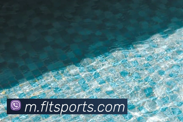 App Interface Preview